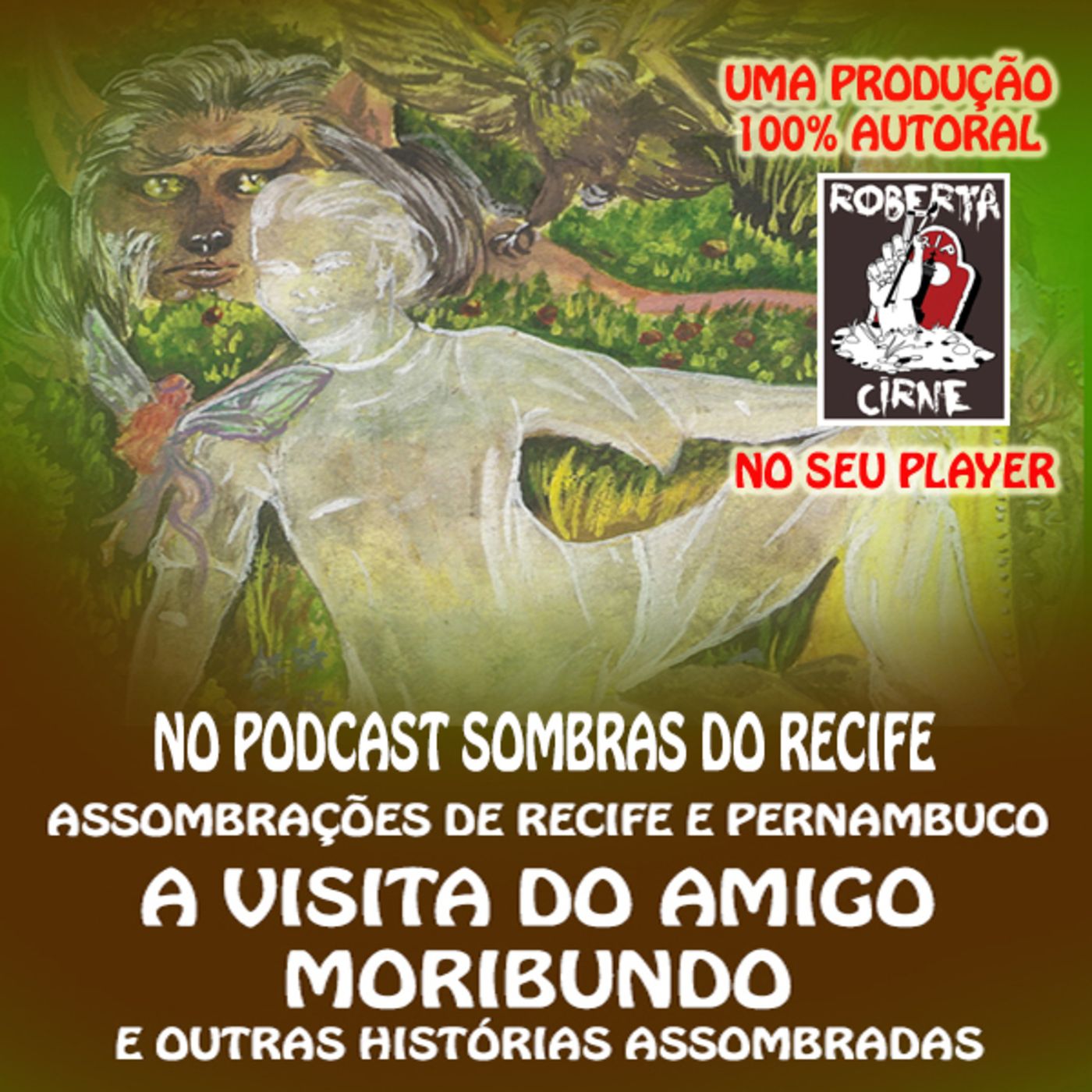 SOMBRAS DO RECIFE