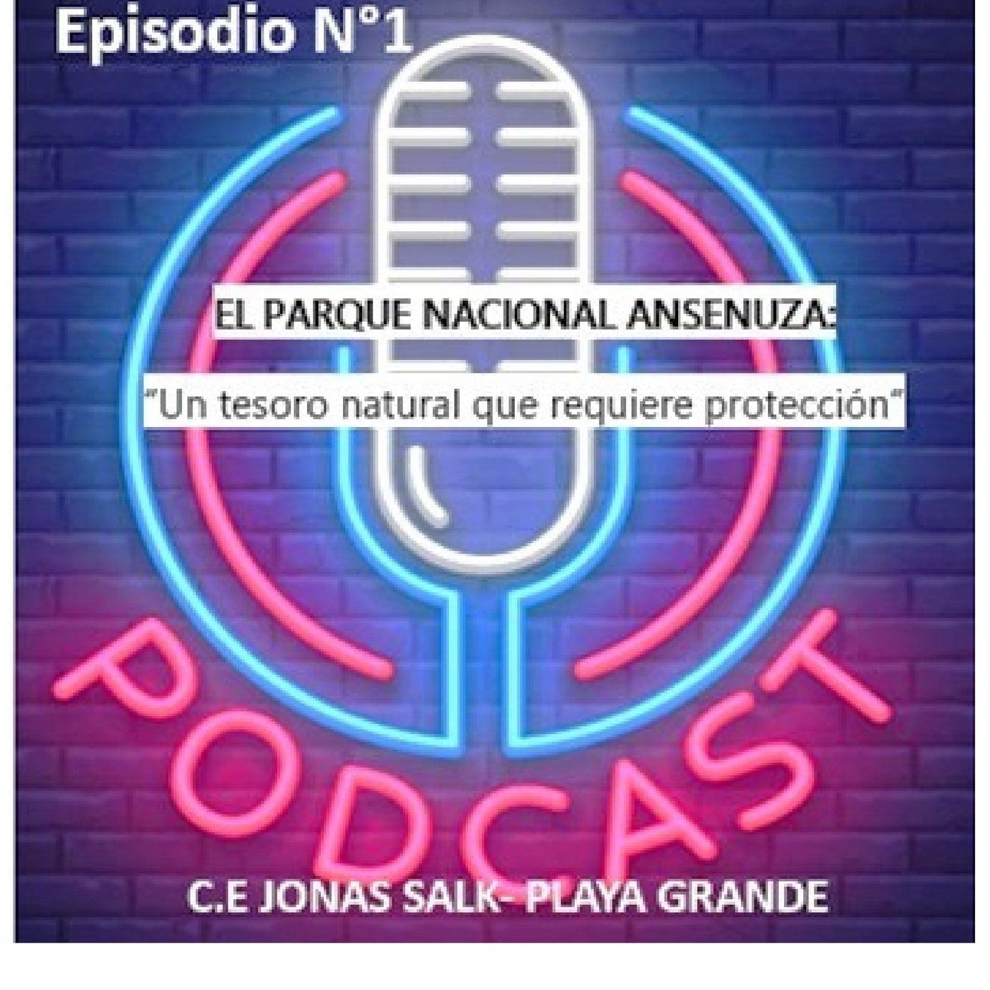 El Parque Nacional Ansenuza: Un tesoro natural que requiere protección. episode artwork