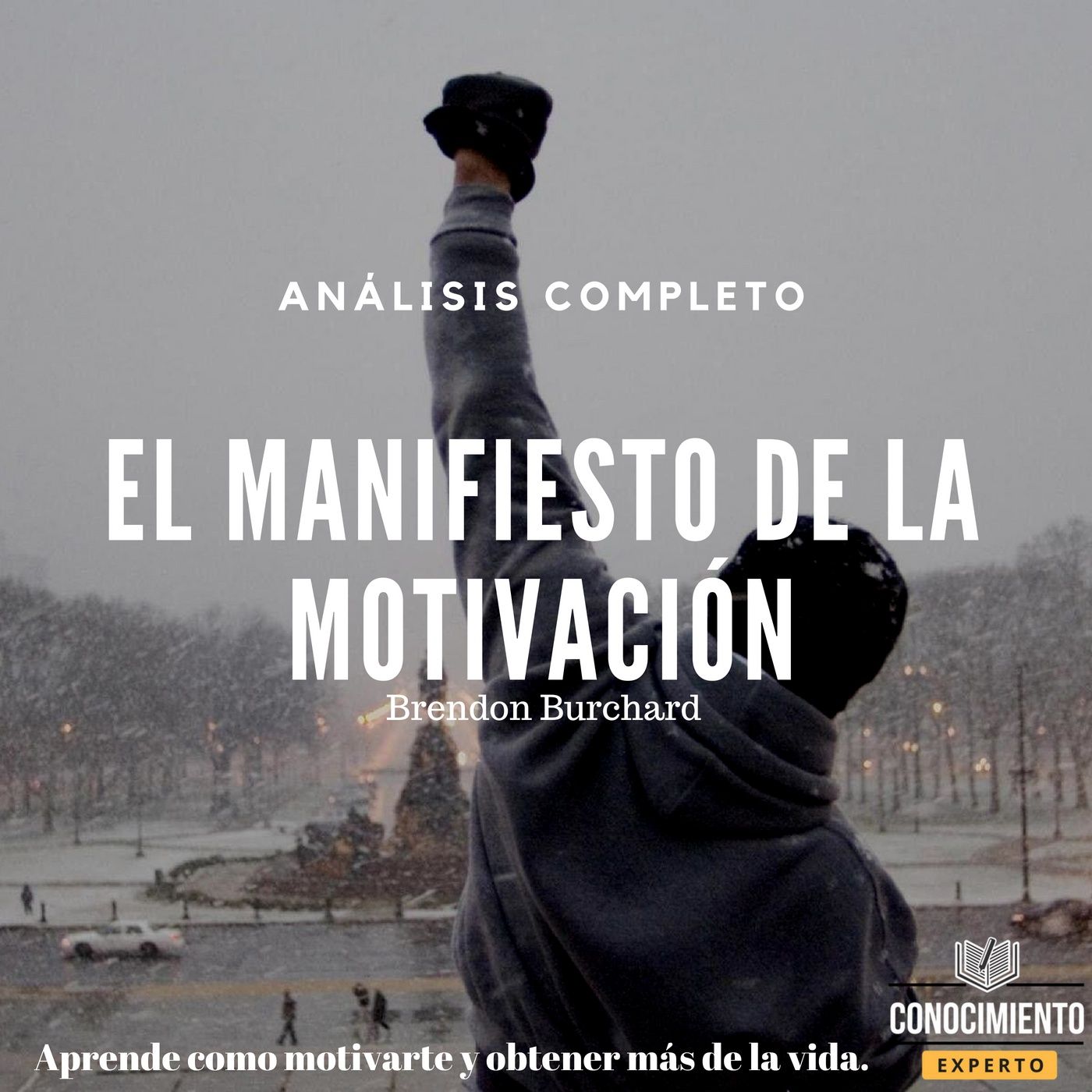 Conocimiento Experto
