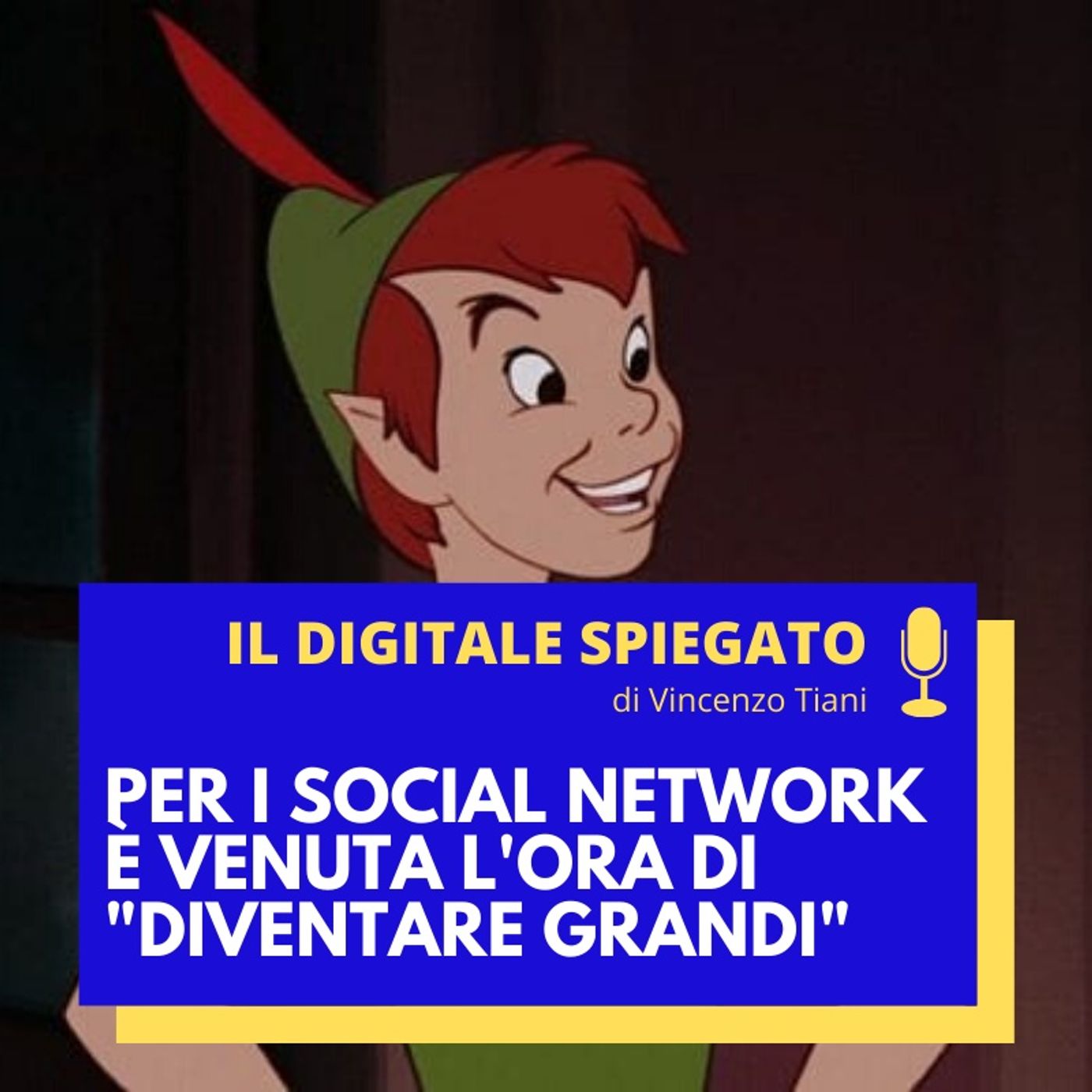 Vincenzo Tiani - Il Digitale Spiegato [ita]