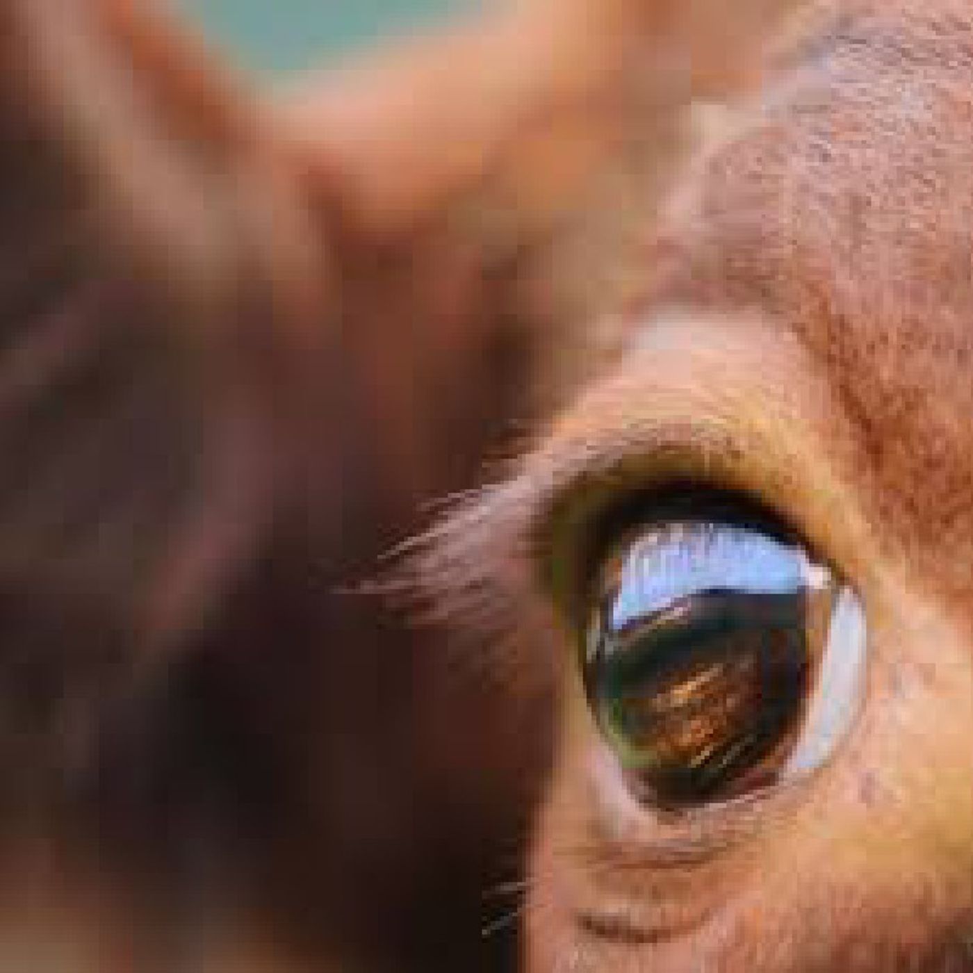 SevensDays MusicElSalvador -RadioDigital