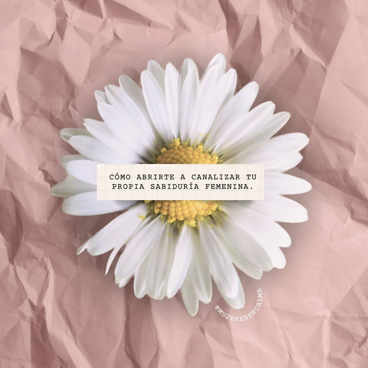 223 - Cómo abrirte a canalizar tu propia sabiduría femenina