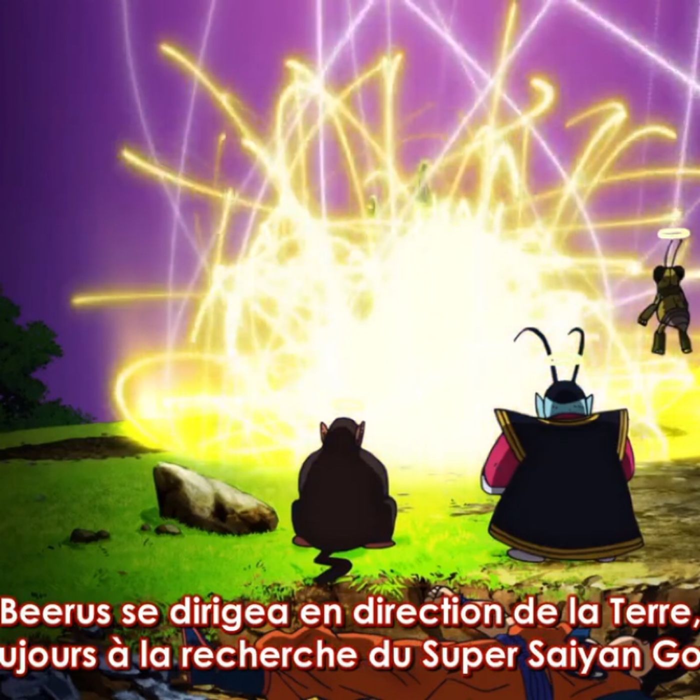 Cho Petant Black-Cherry Chou\'s show