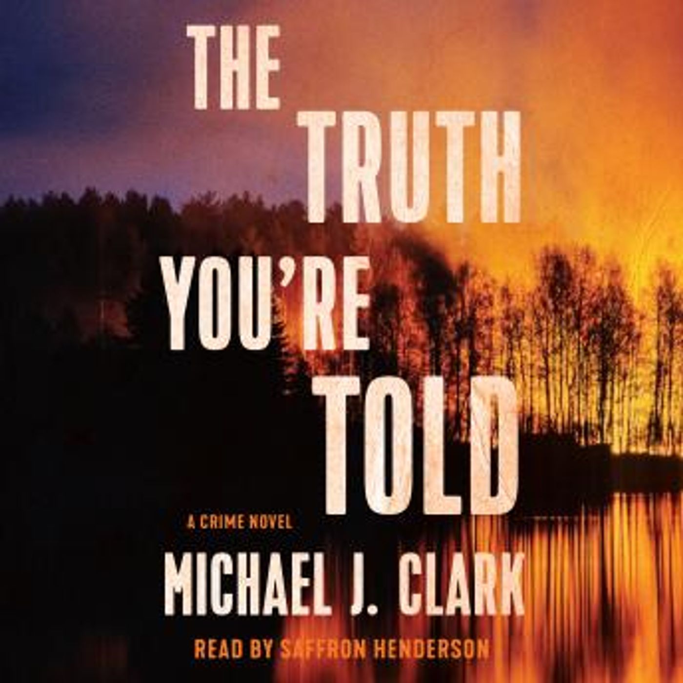 The Truth You're Told: A Crime Novel by Michael J. Clark episode artwork