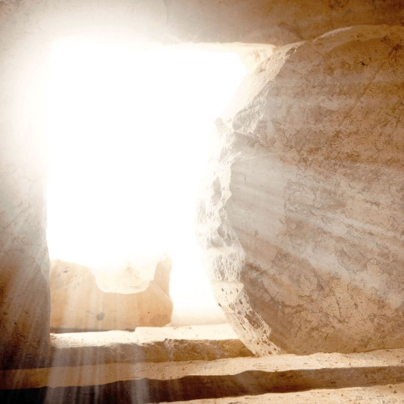 Lunedì di Pasqua 10 aprile 2023 «Perché cercate tra i morti colui che è vivo? È risorto» (cf Lc 24, 5-6). episode artwork