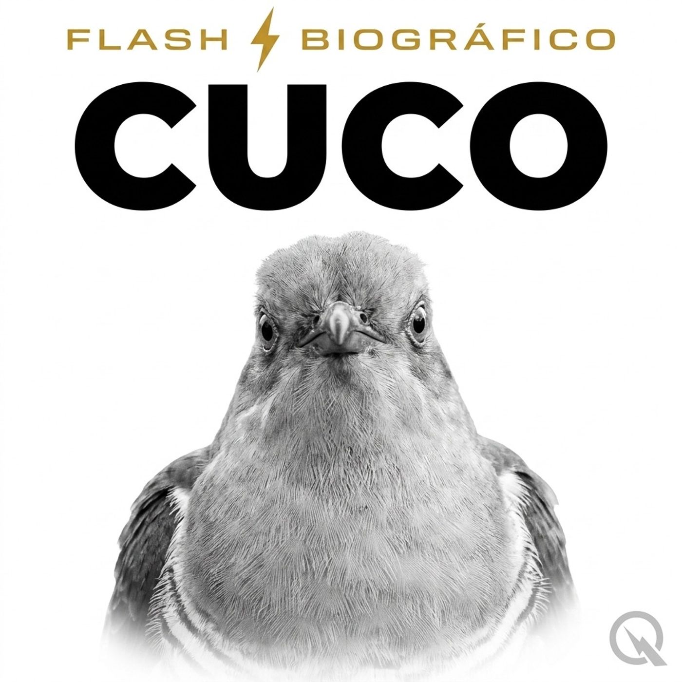 Cuco - Flash Biográfico