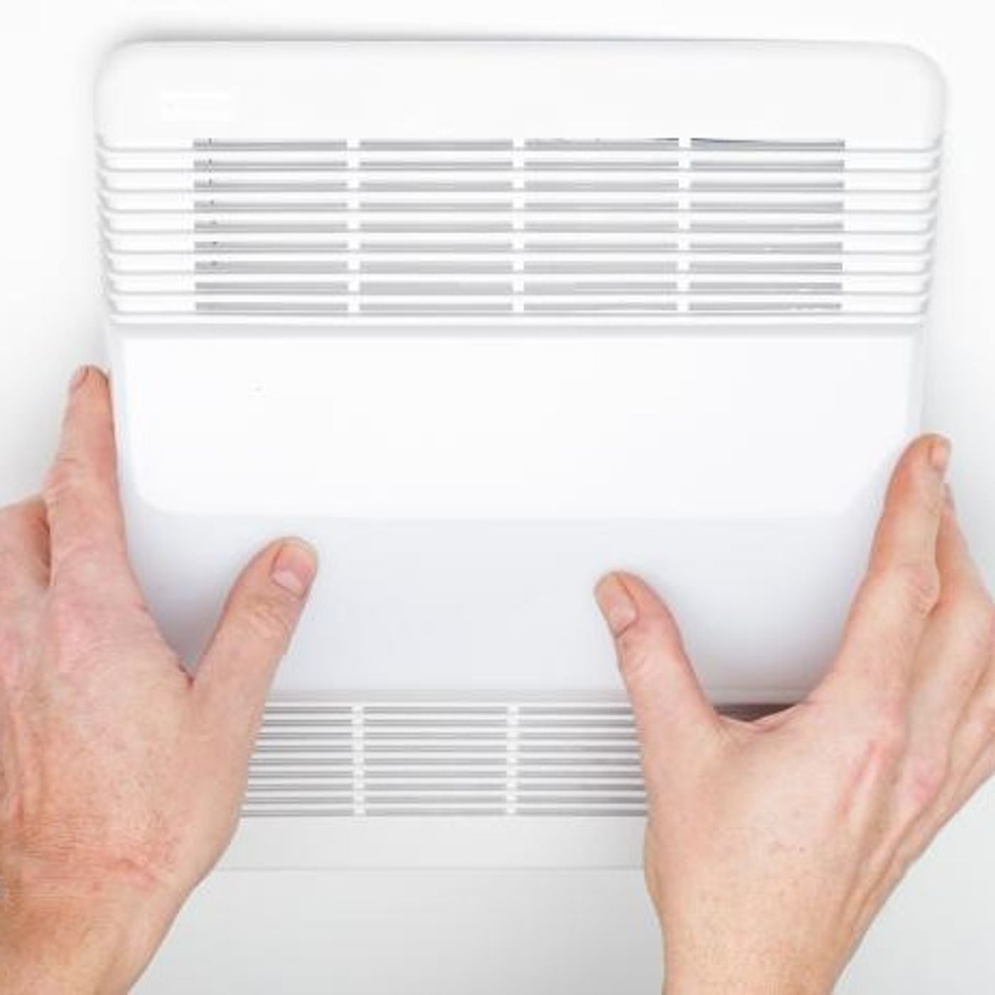 Bailey Wright\'s show