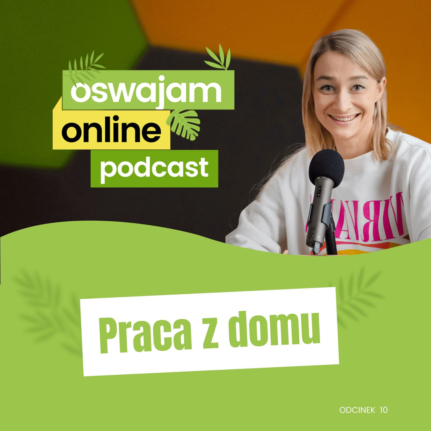 Oswajam Online