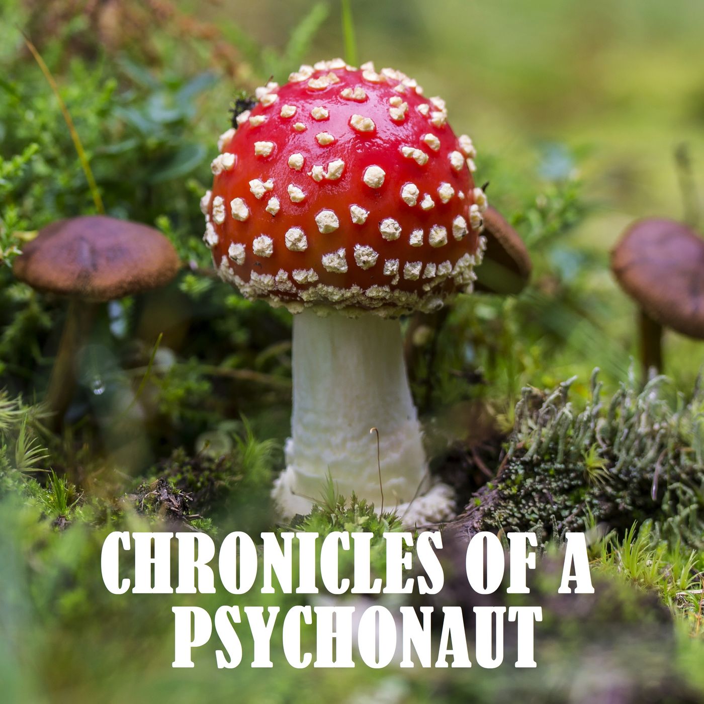 Chronicles of a Psychonaut Chronicles of a Psychonaut
