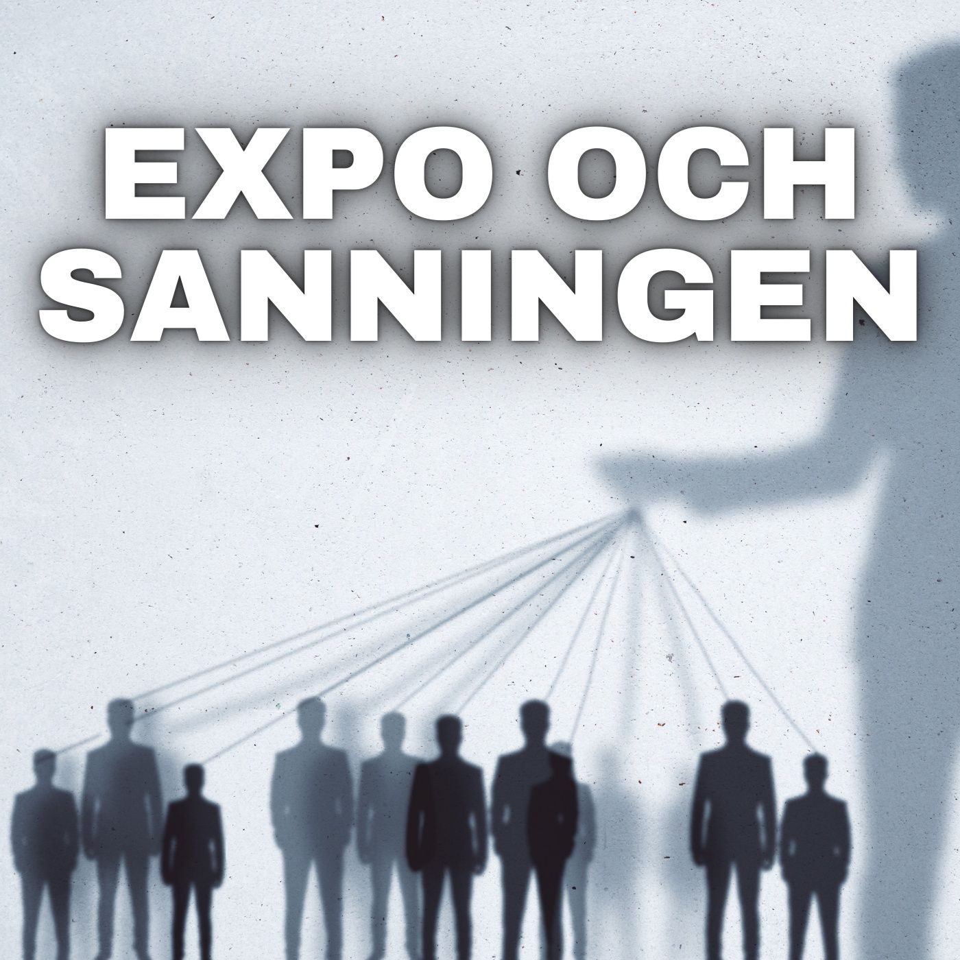 Morgan Finnsiö (Expo) har svårt för sanningen