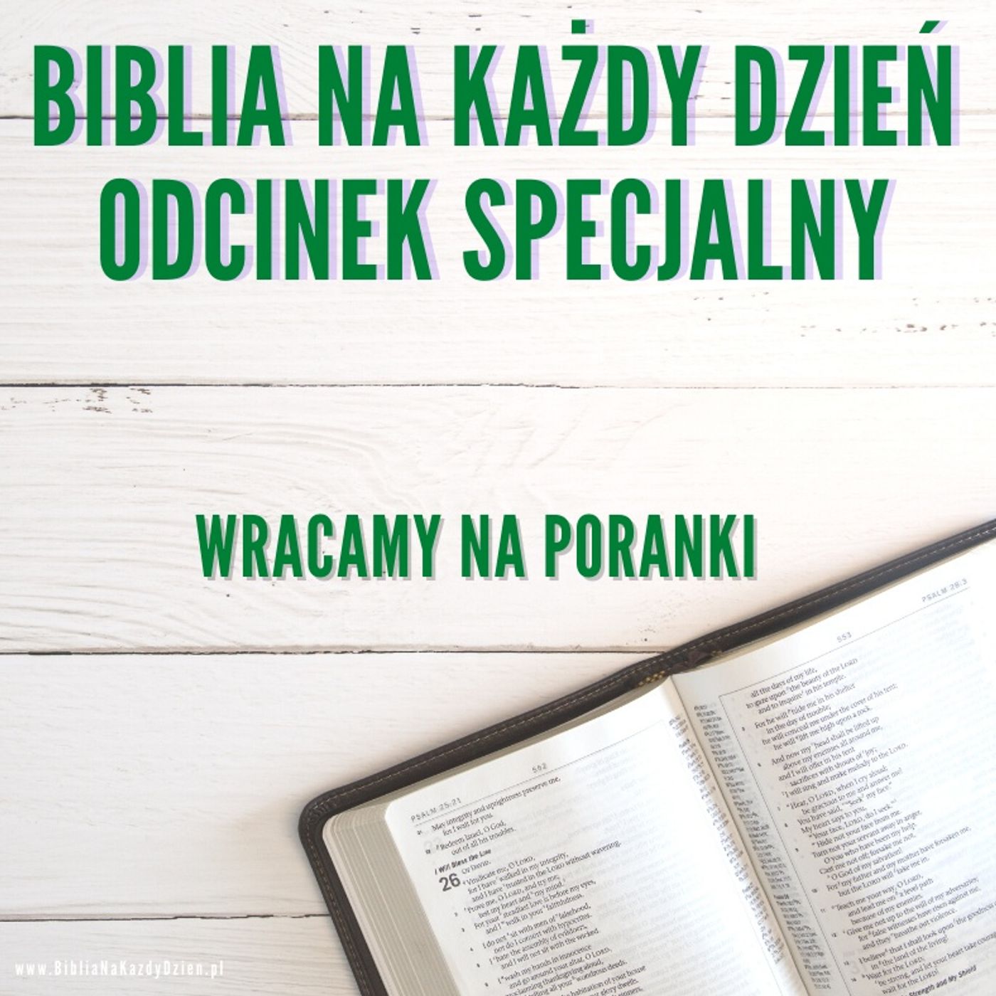 BNKD odcinek specjalny - wracamy na poranki episode artwork