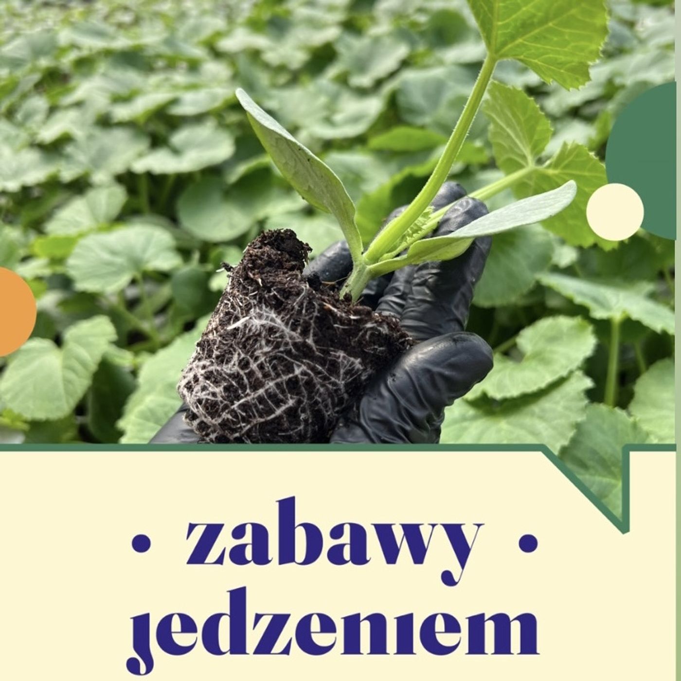 Zabawy jedzeniem