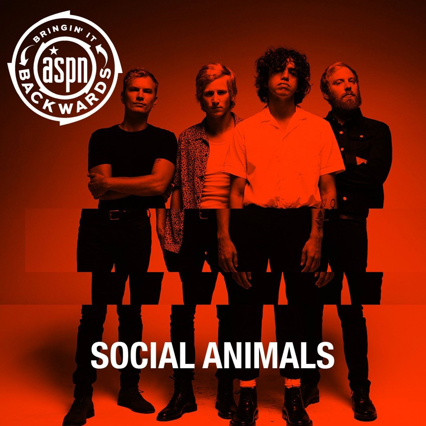 Interview with Social Animals