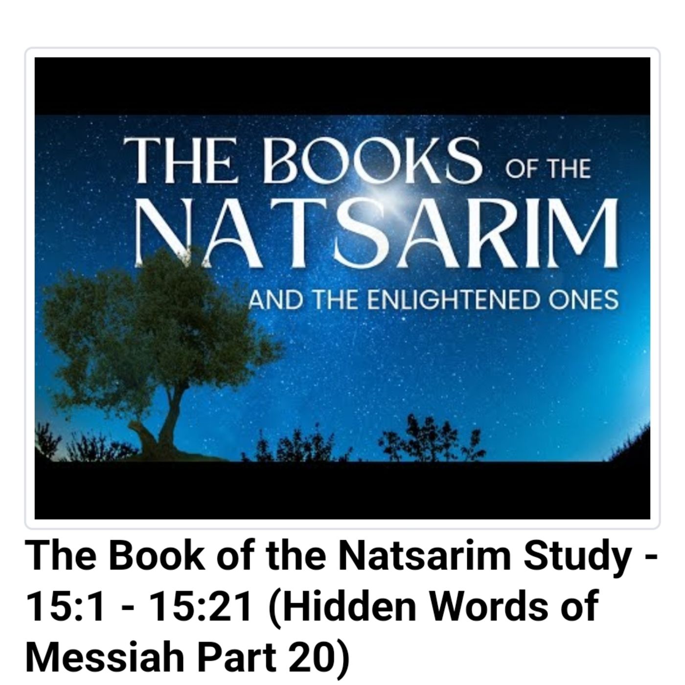The Book of the Natsarim Study - 15:1 - 15:21 (Hidden Words of Messiah Part 20) episode artwork