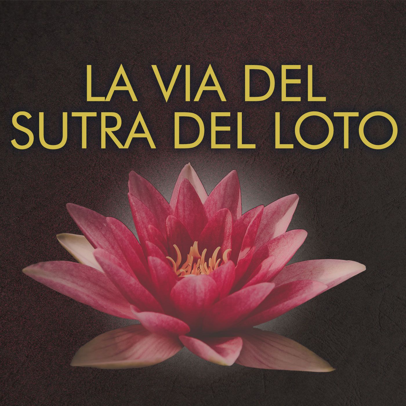 Massimo Claus - 08x25 - TROVARE SE STESSI NELLA PRATICA - Pulire la nostra vita episode artwork