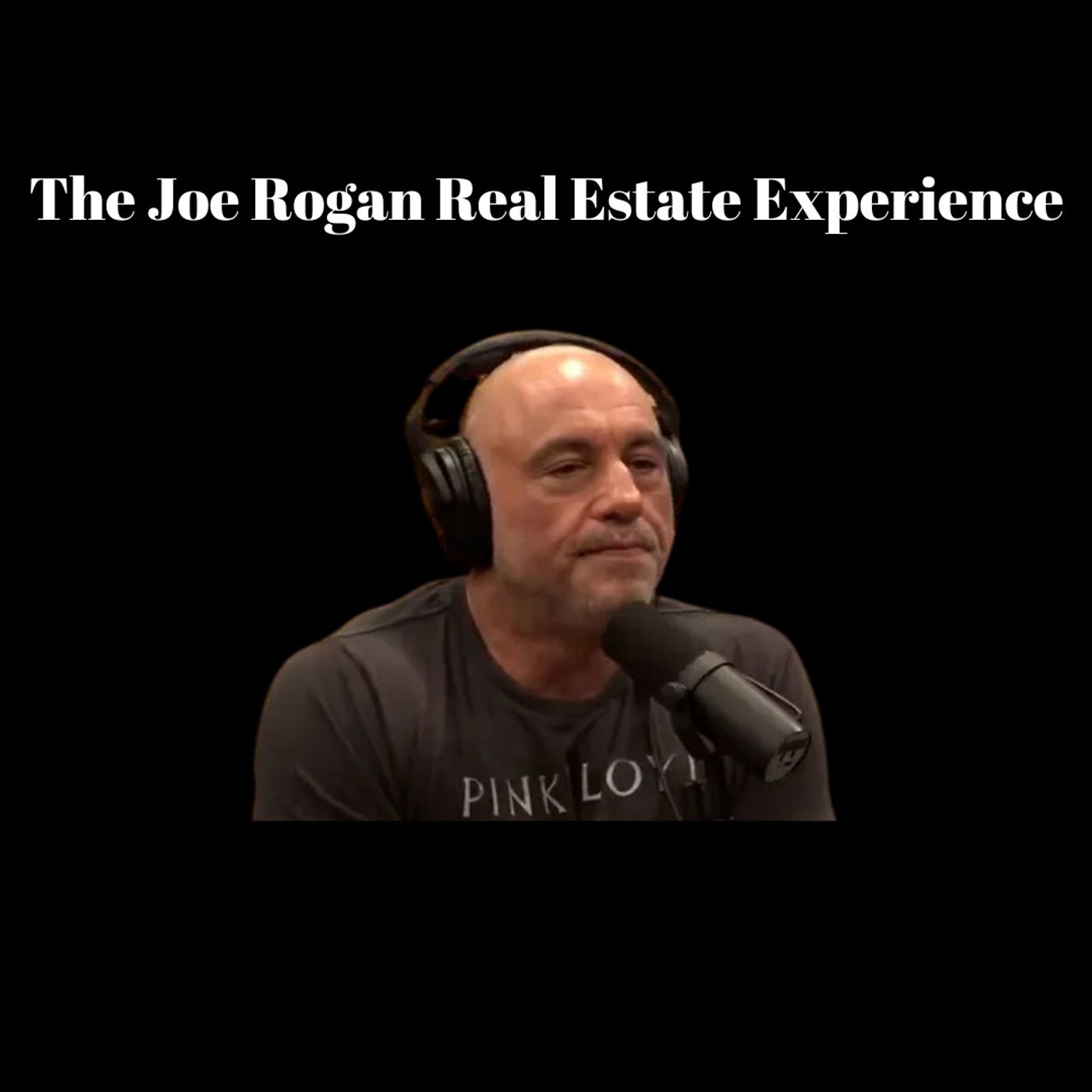 The Joe Rogan Real Estate Experience episode artwork