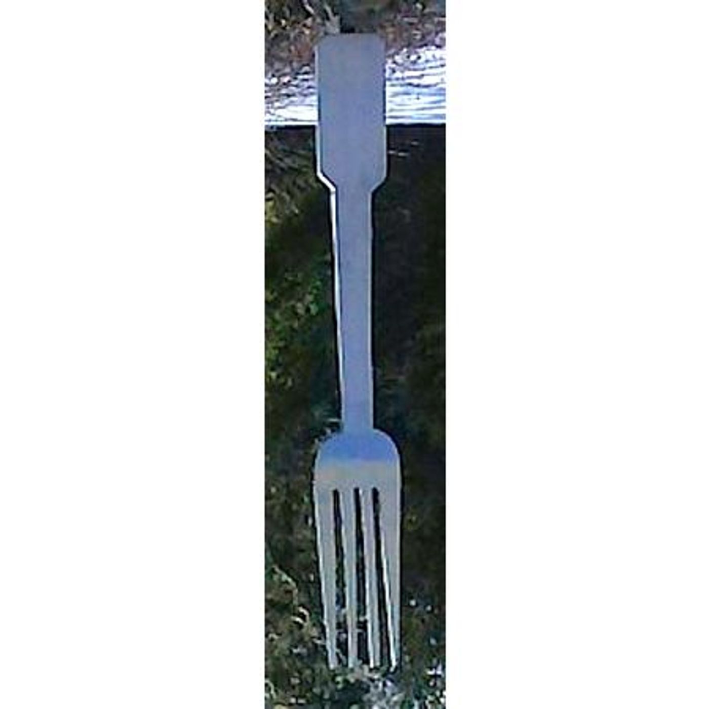 Another Fork in the Road