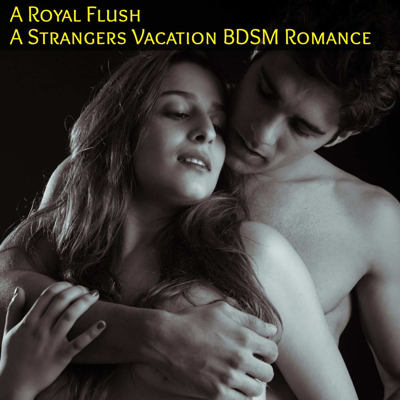 A Royal Flush - A Strangers Vacation BDSM Romance