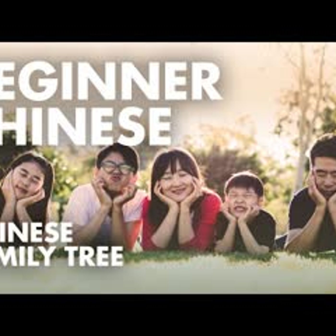 Learn Chinese Conversation for Beginners   Free Language Practice to Study with English Subtitles A6 episode artwork