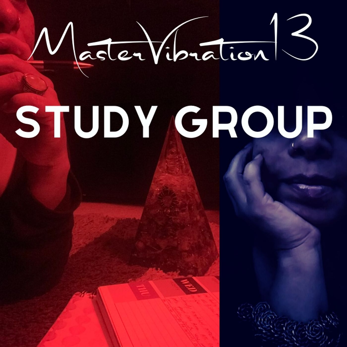 MV13 Study Group