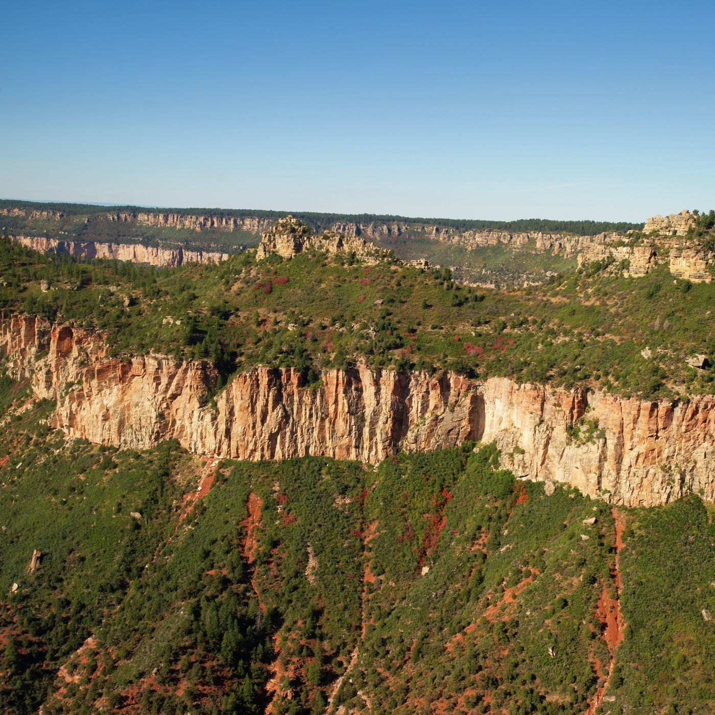 Meditaciones Diarias