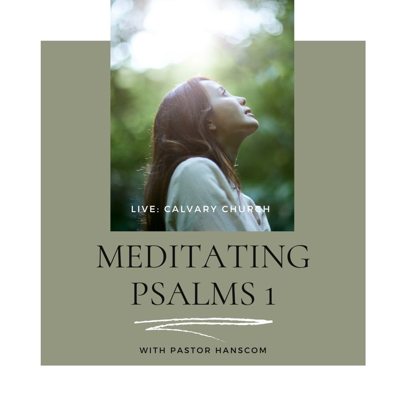 Meditating on Psalms 1