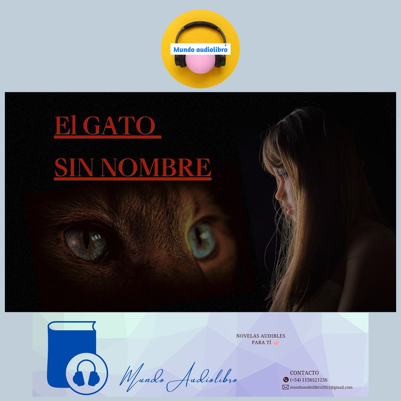El Gato Sin Nombre - AUDIOLIBRO COMPLETO voz humana