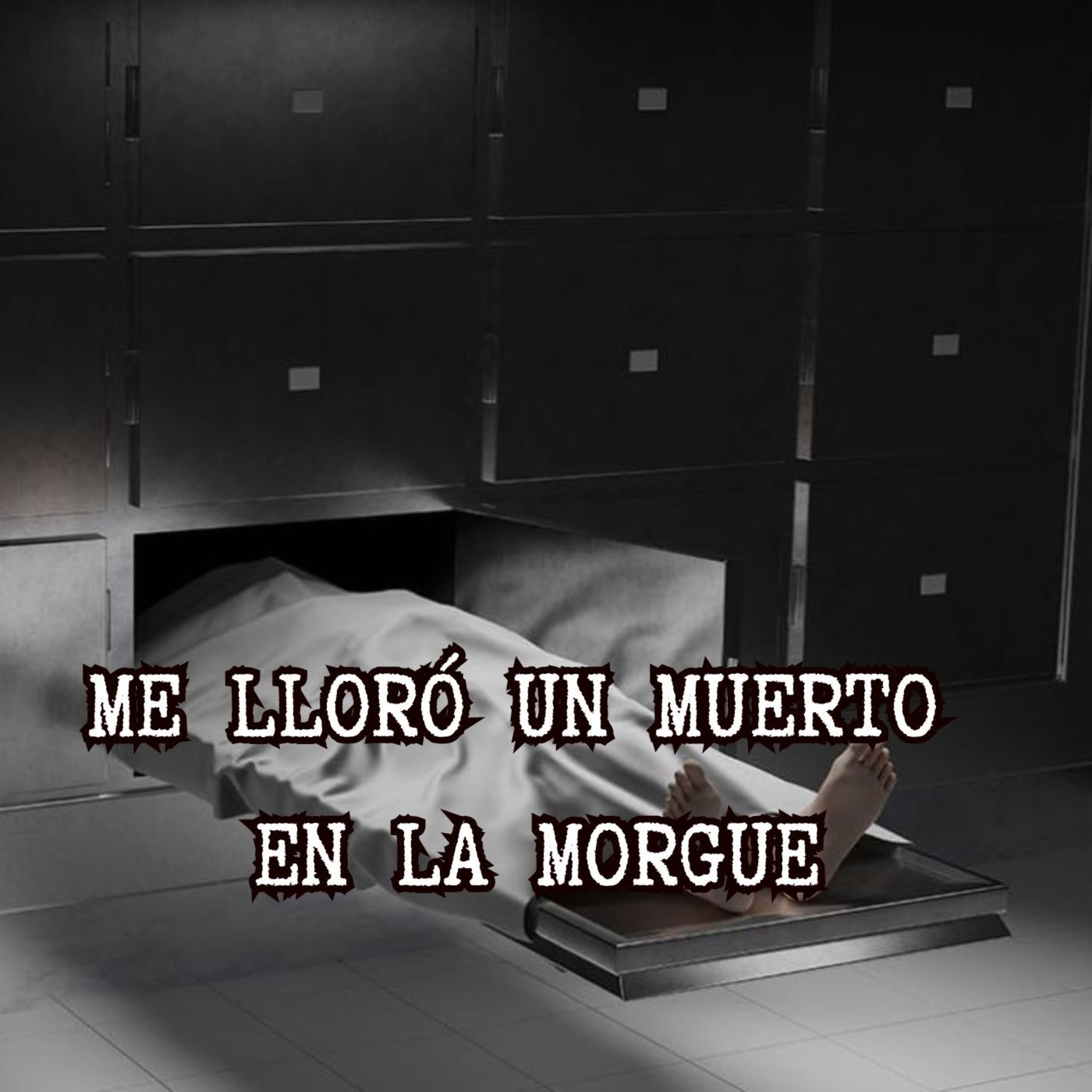UN MUERTO ME LLORÓ