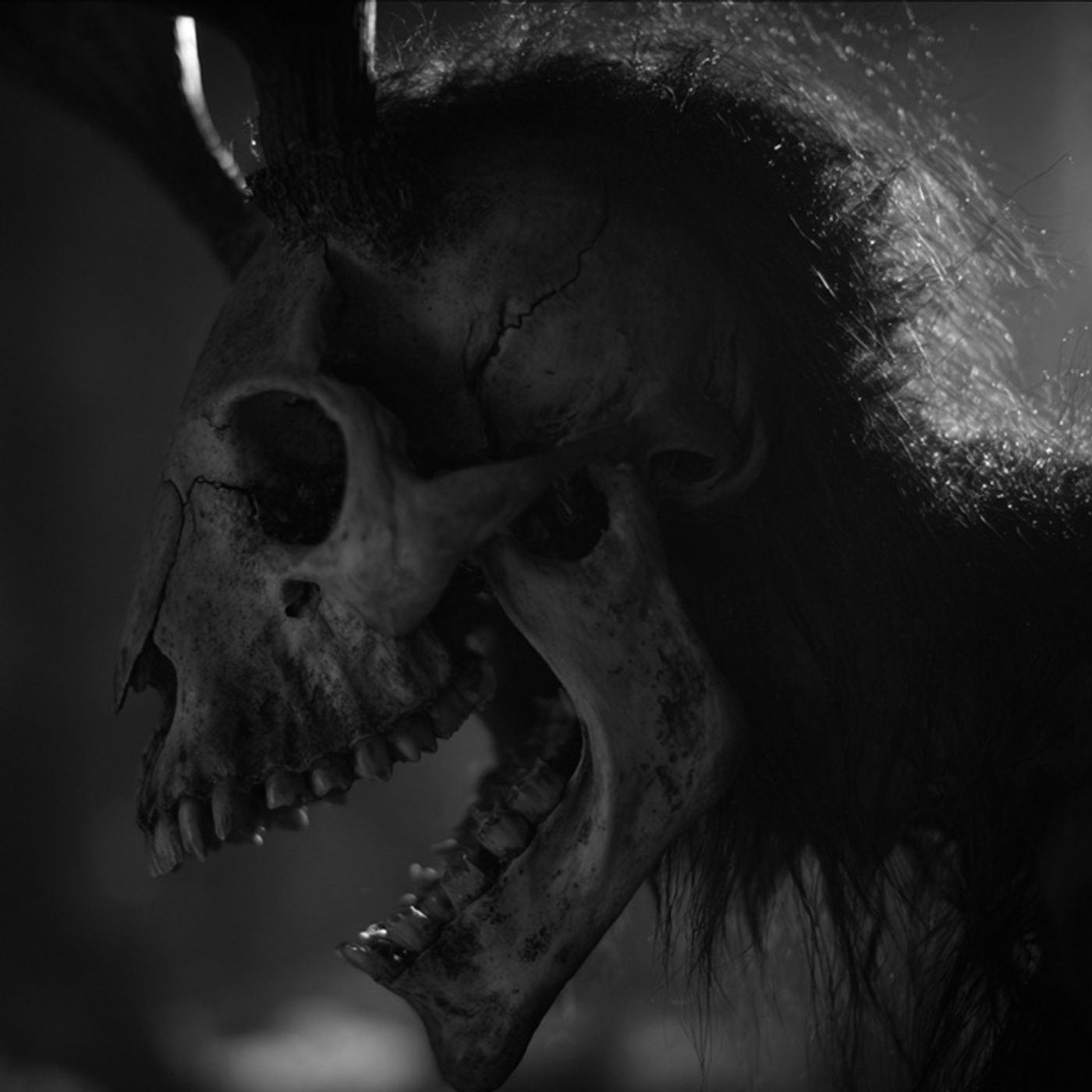 Le Disparé A Un NAHUAL Historias De Terror - REDE