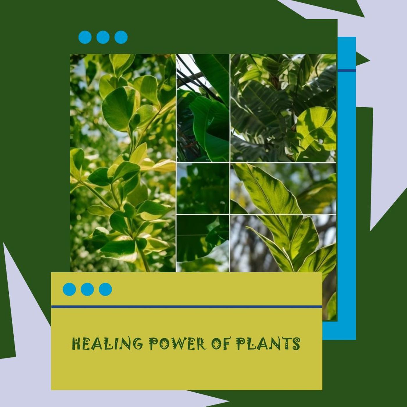 Healing Power of Plants