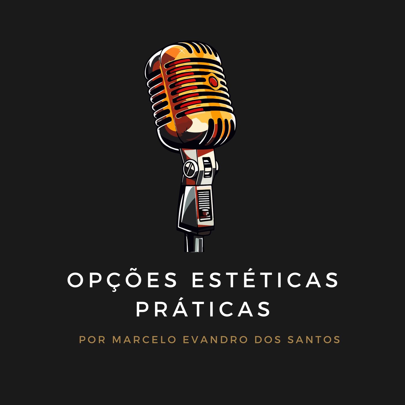 Marcelo Evandro dos Santos