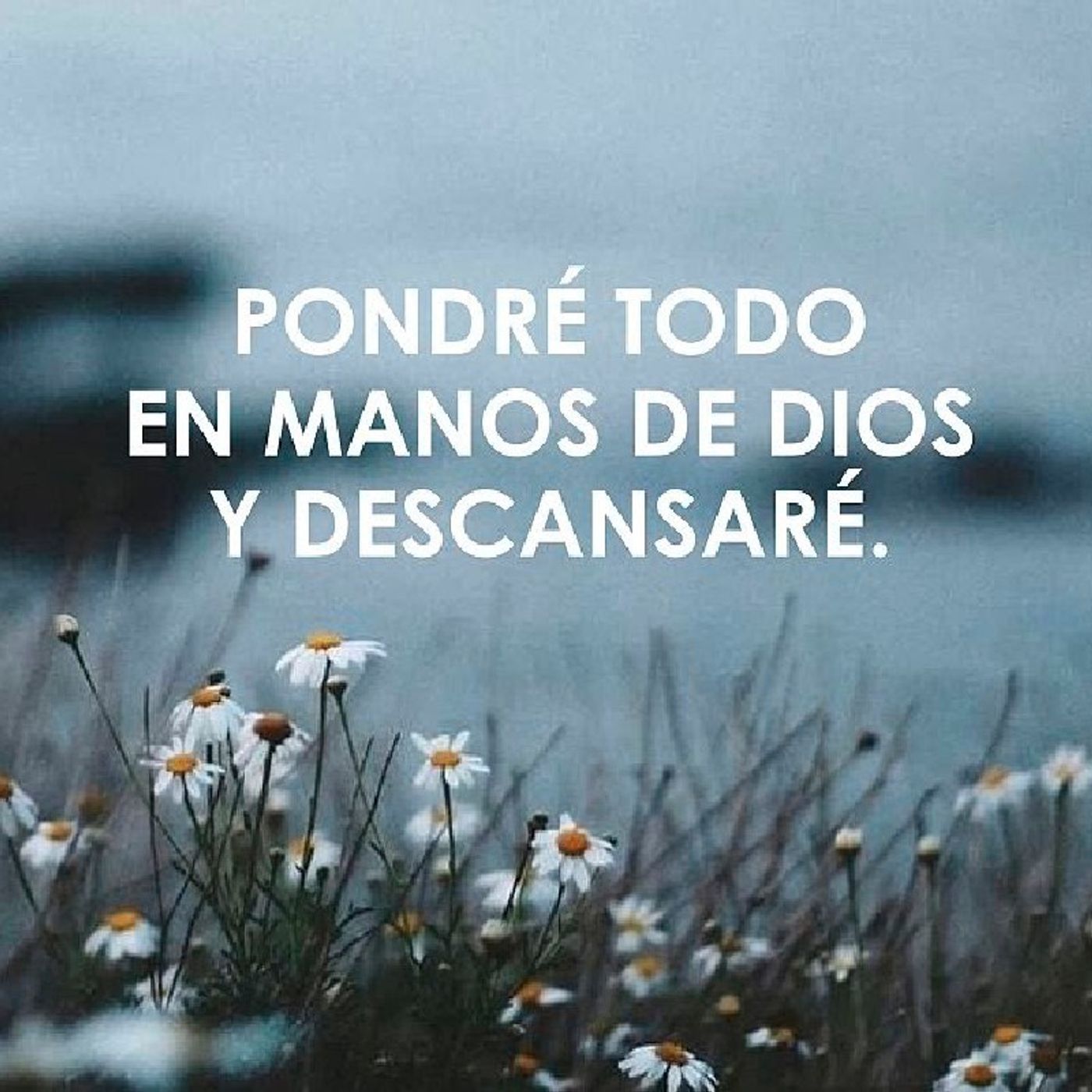 La Reflexión del Día "Descansar en Dios" episode artwork