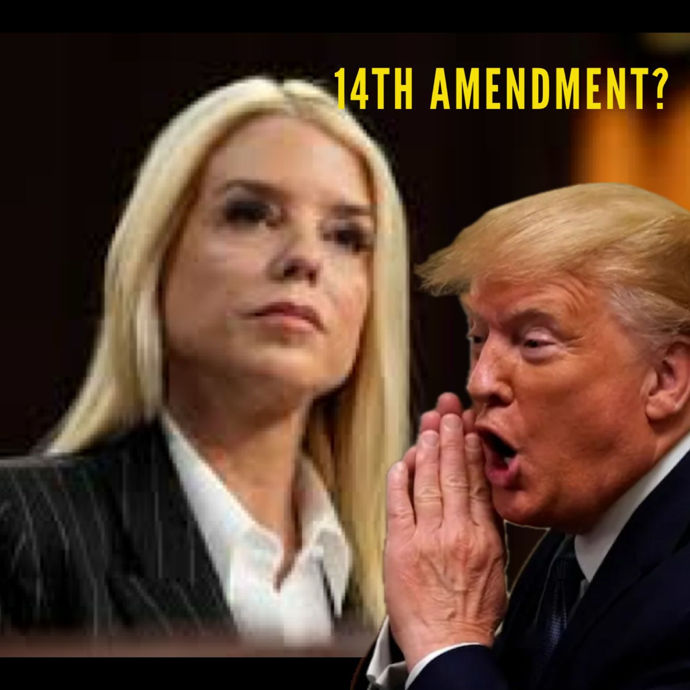 Pam Bondi doesn’t know what the 14th Amendment is