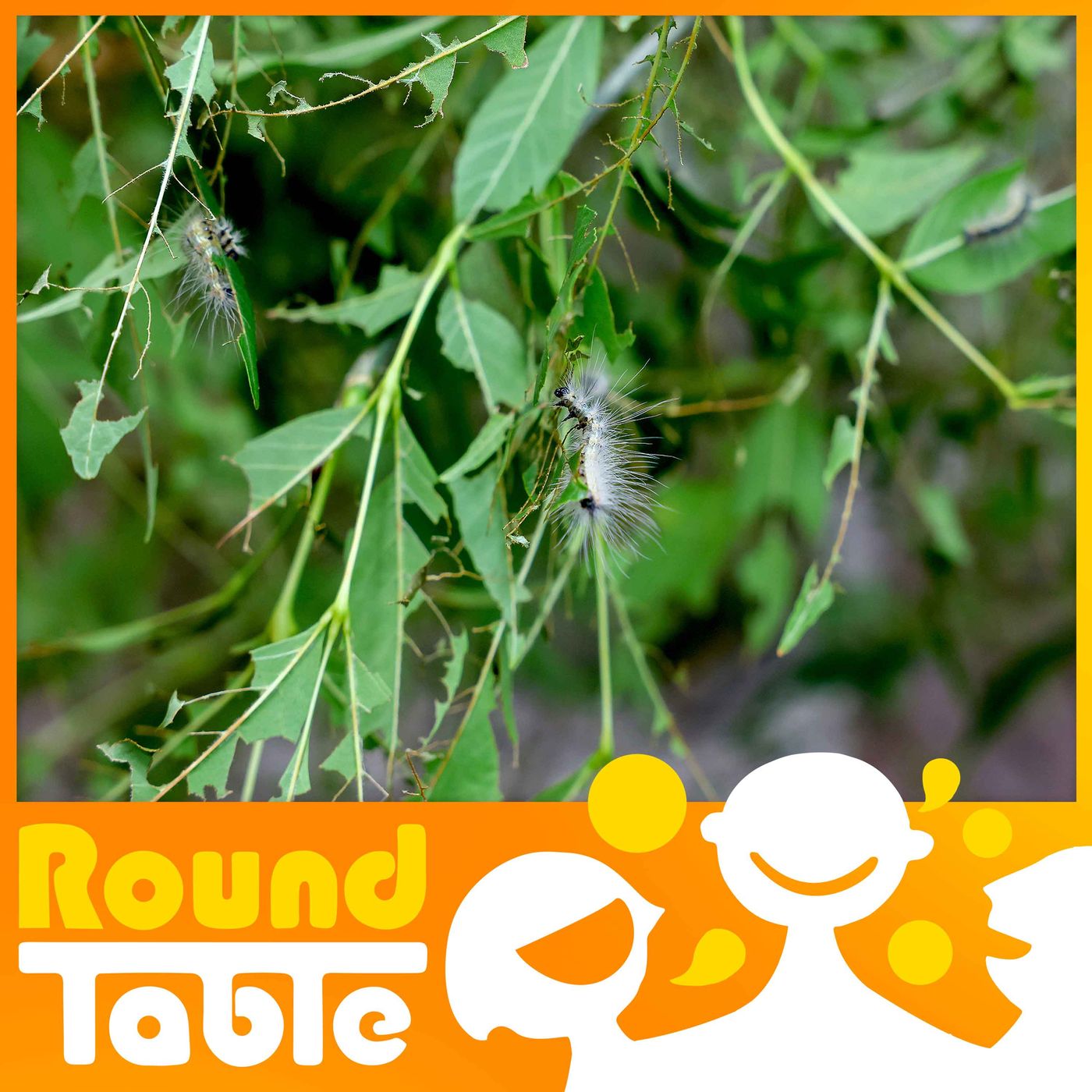 Artwork for Round Table China