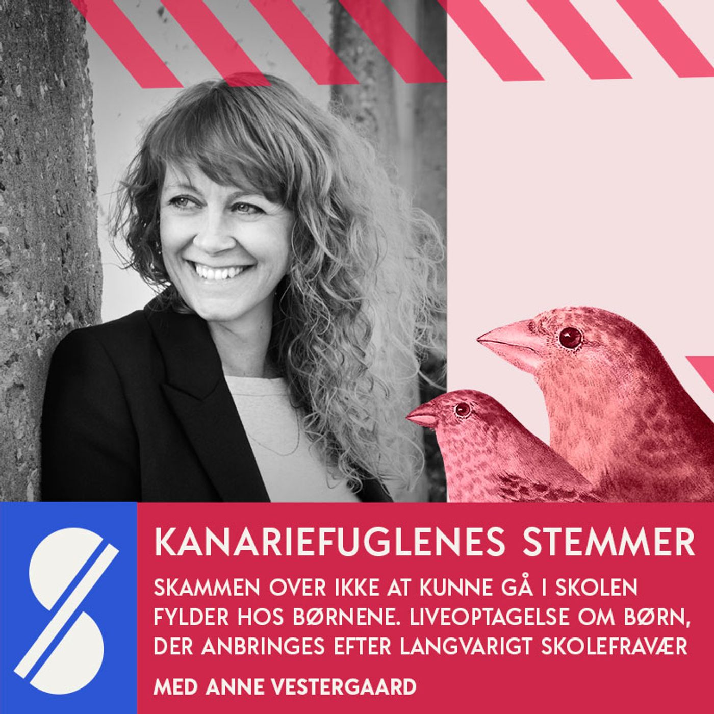 Kanariefuglenes stemmer