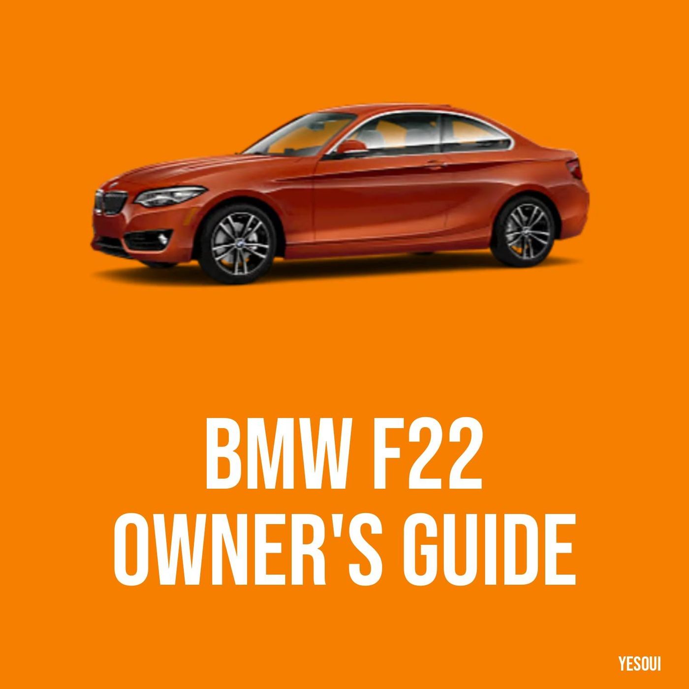 BMW 235i Owner's Guide: F22 Everything