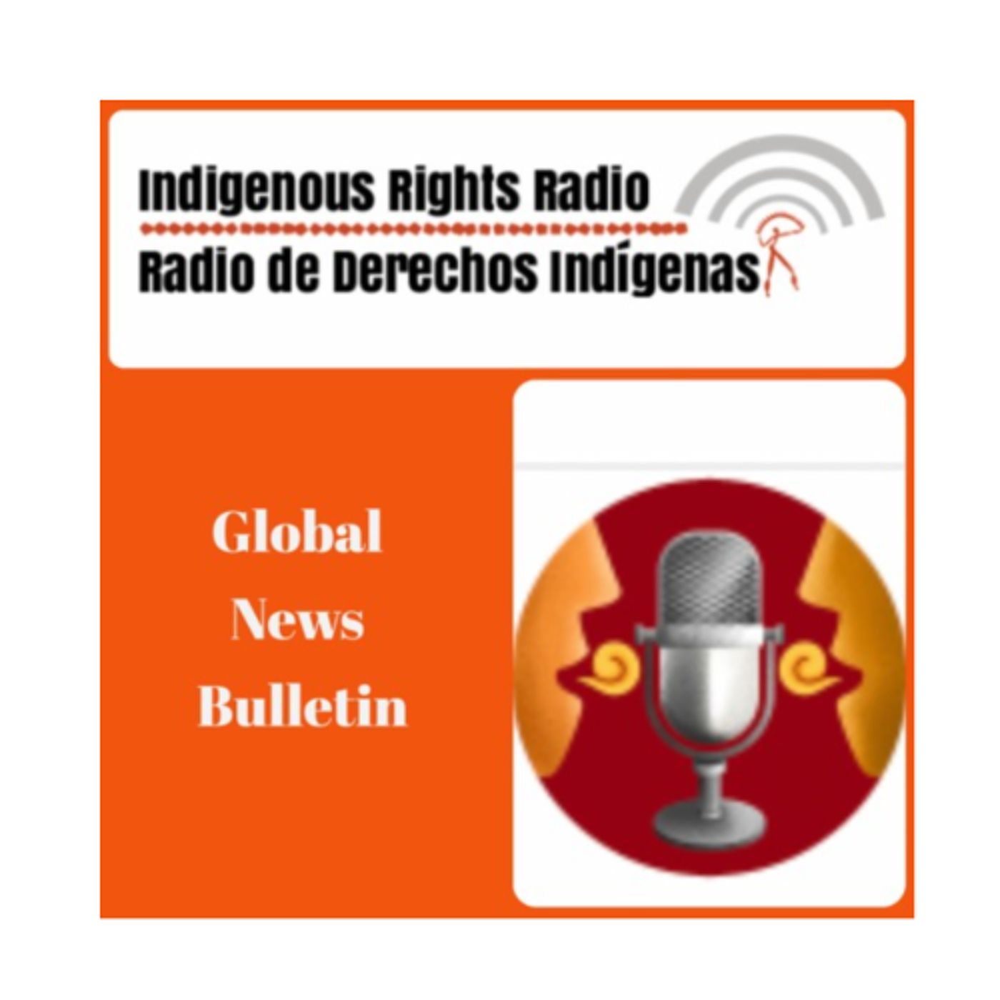 Cultural Survival News Bulletin November 2025