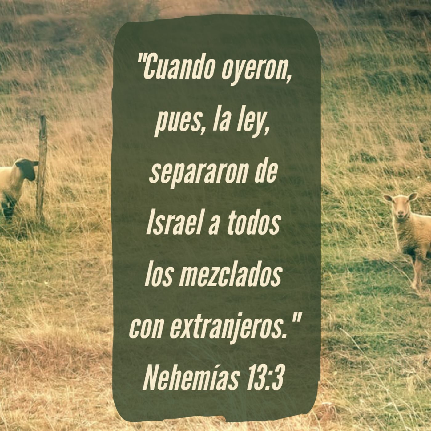 Atizando Fuego con Nehemías