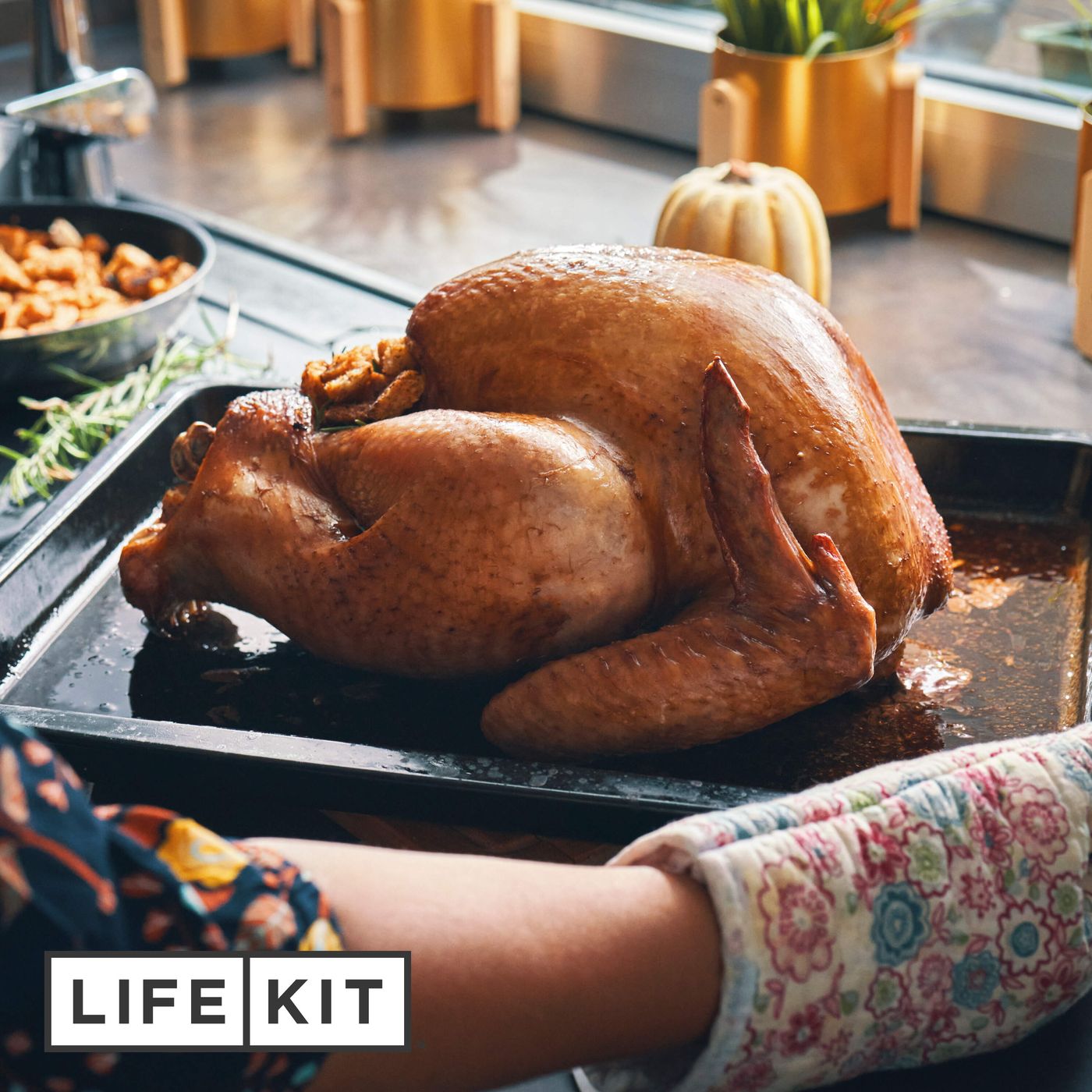 A beginner's guide to roasting a Thanksgiving turkey episode artwork