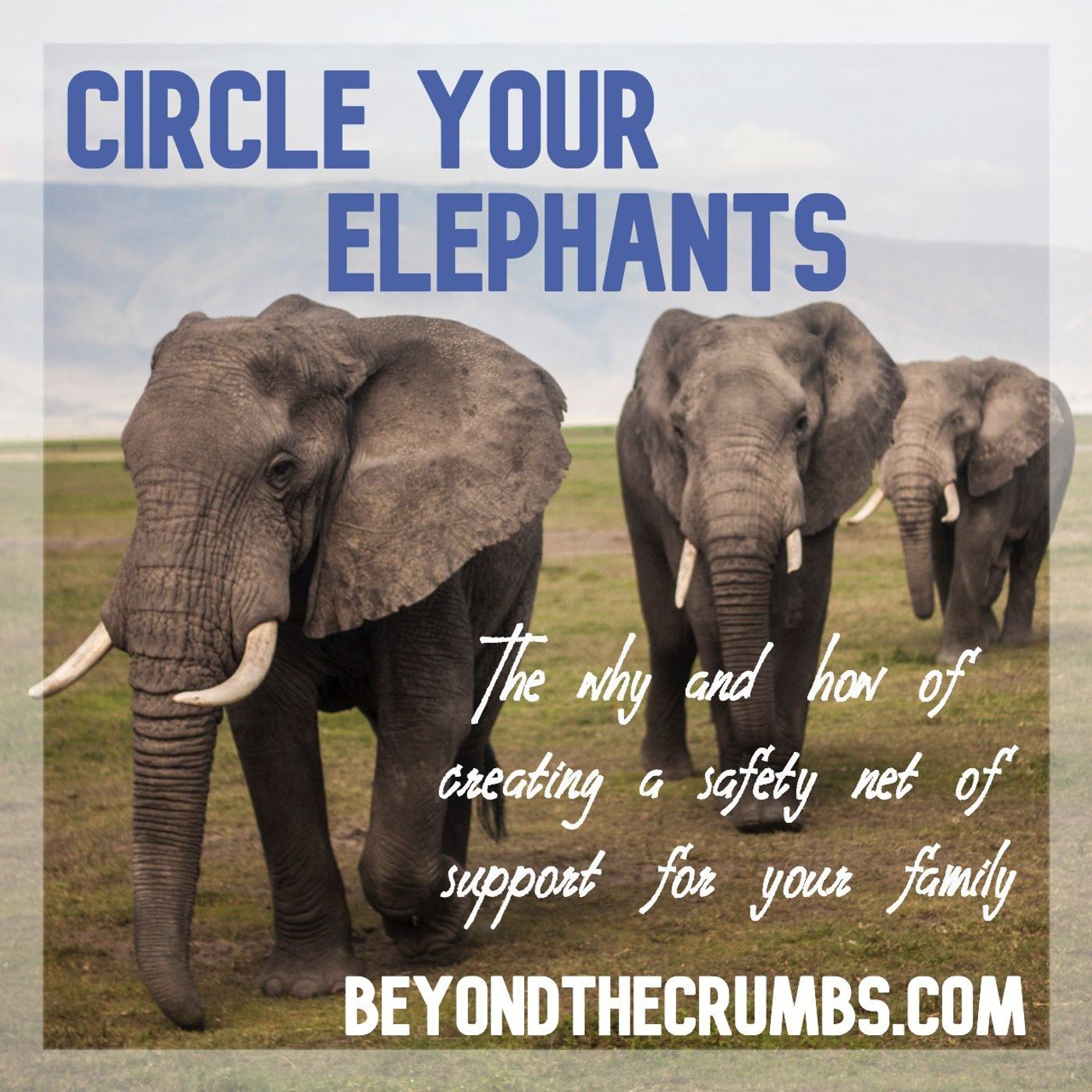 4. Create a safety net of support 4. Create a safety net of support