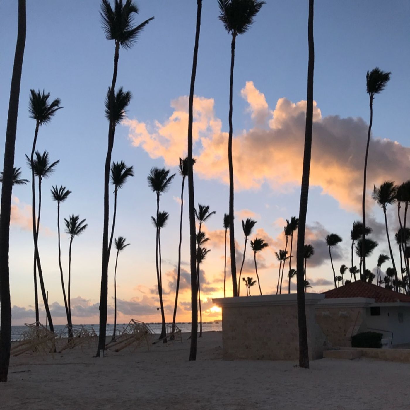 Episodio 10 - El podcast de Luismiguel Rosa manzanillo