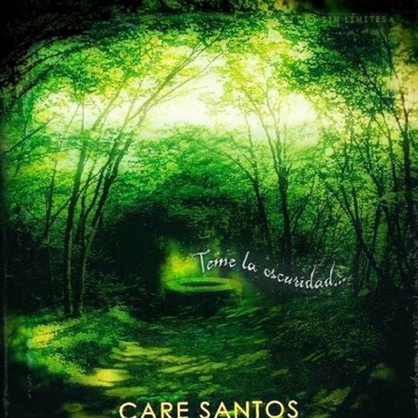 El dueno de las sombras - Care Santos