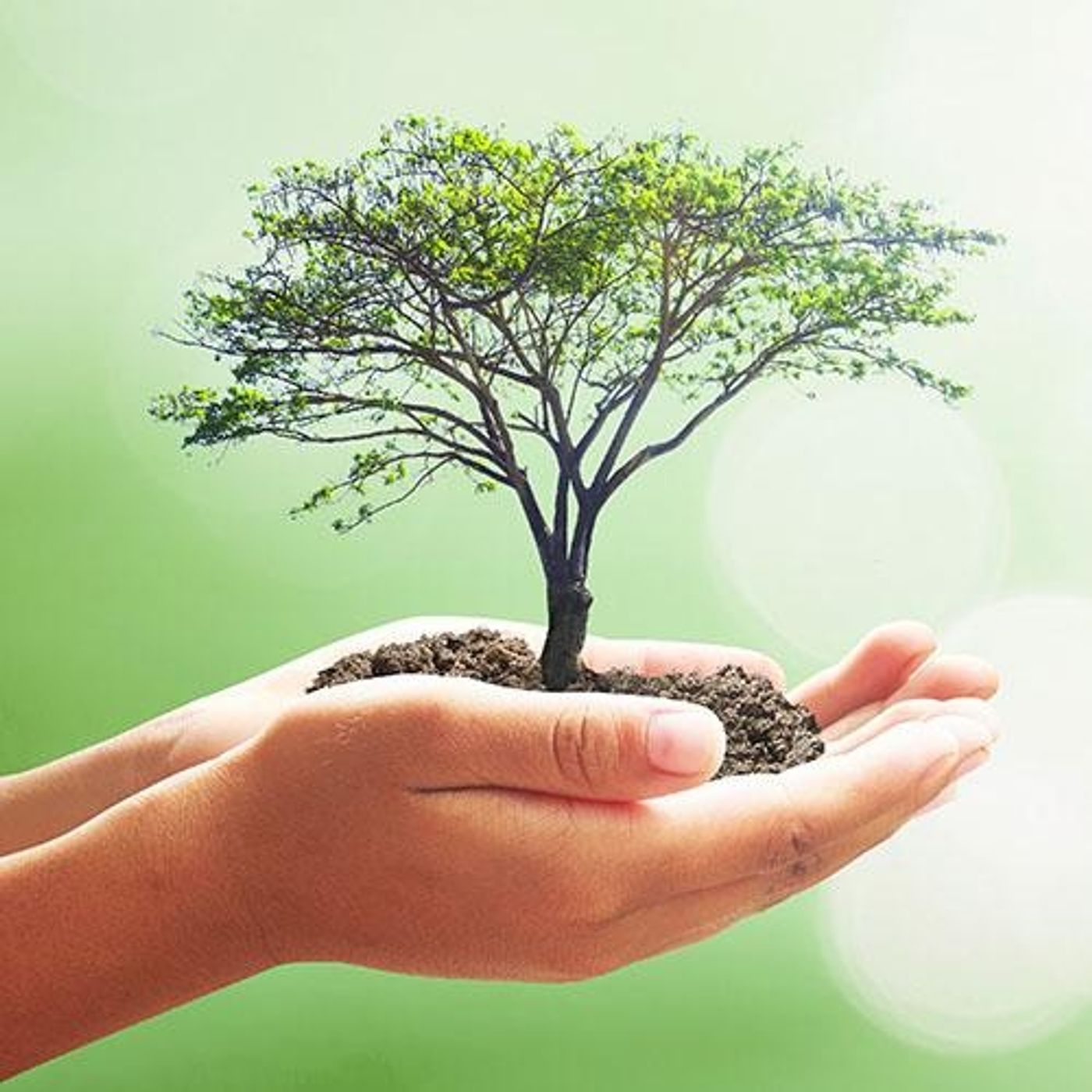 Health part 3 - contrasting traditional and alternative medicine and how to heal with both!