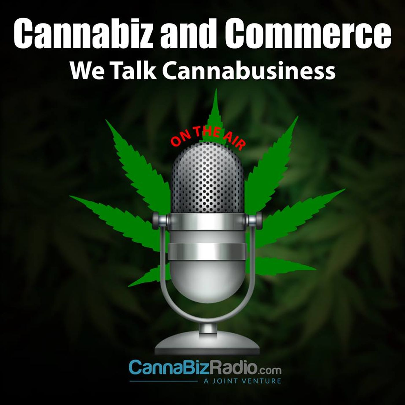 Managing Cannabusiness Challenges episode artwork