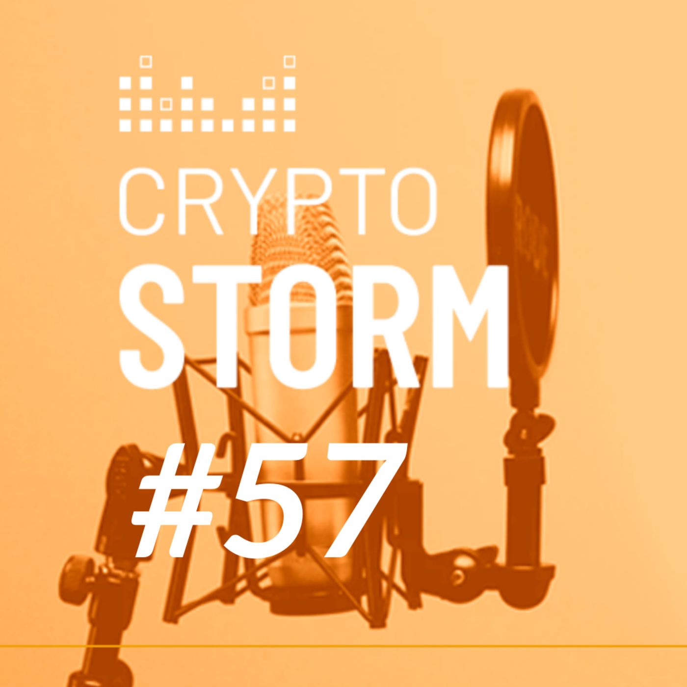 Crypto Storm