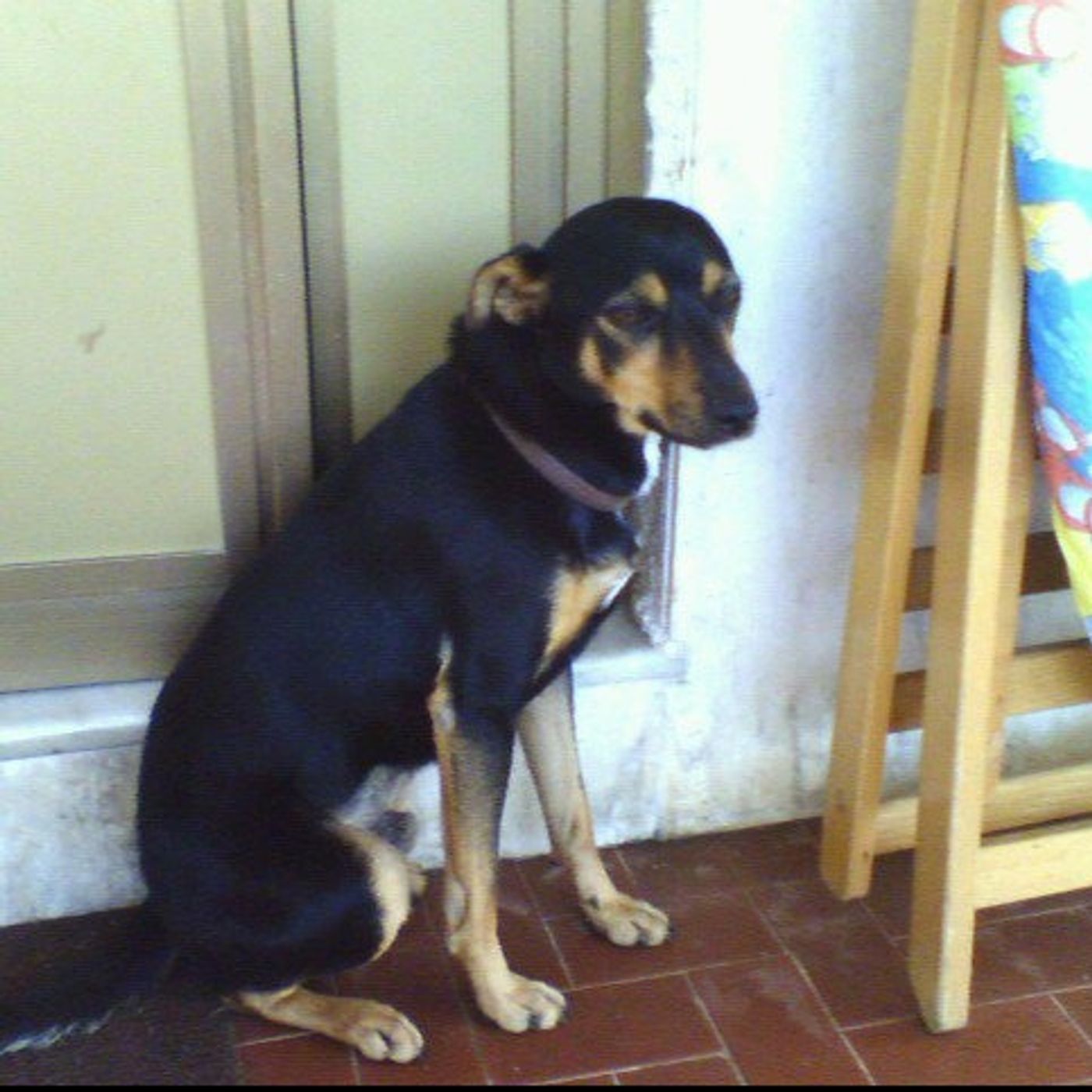 Tracce di Simonetta