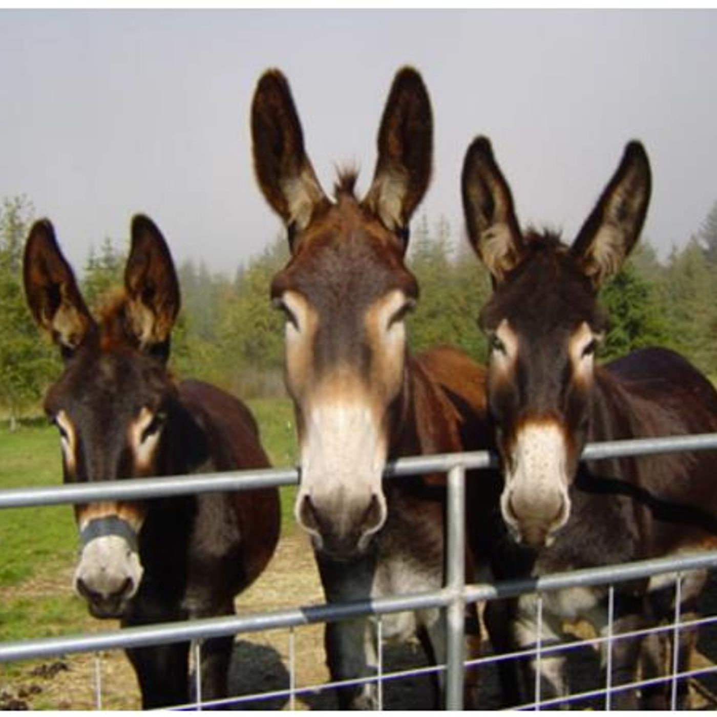 Reformation Debates - Blog Talk