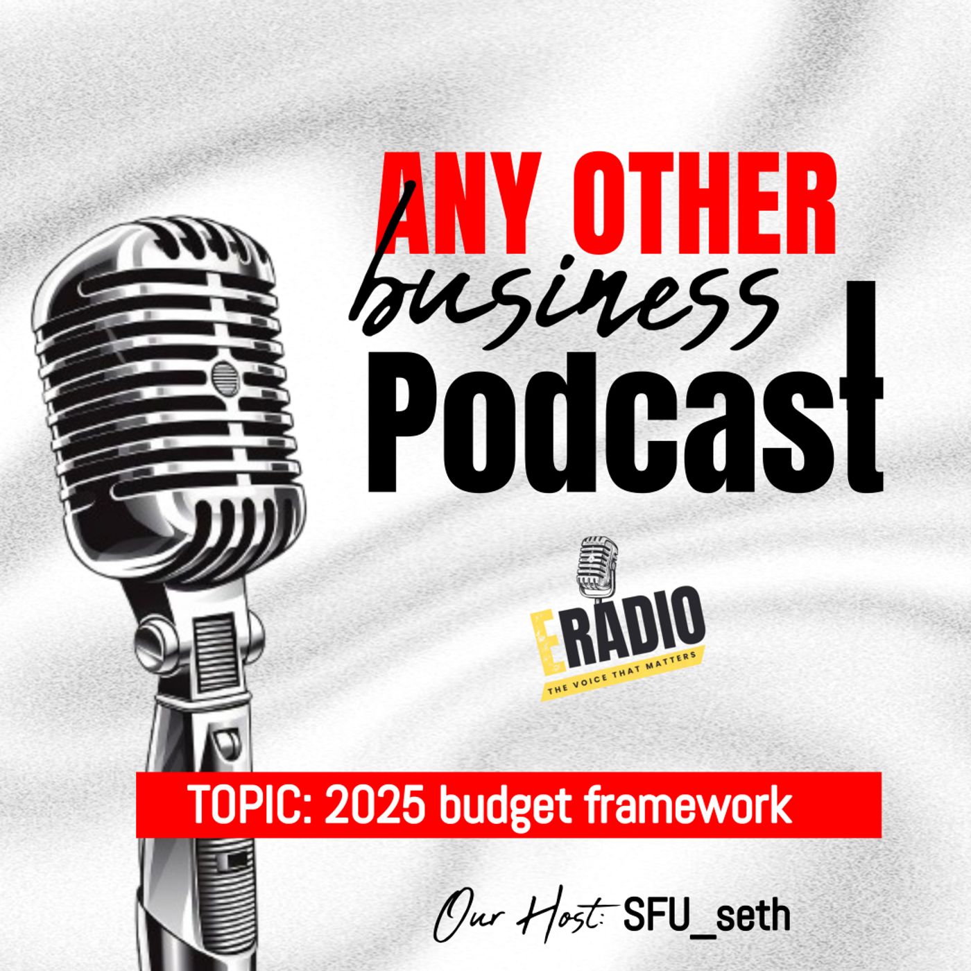 E-Radio\'s podcast The voice that matters