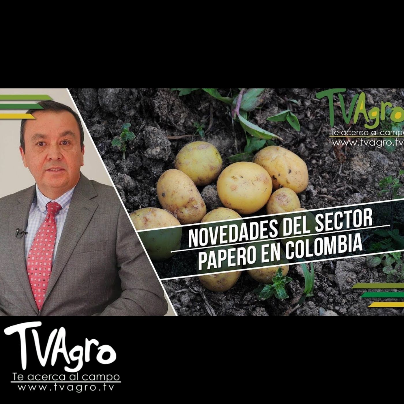 TV AGRO