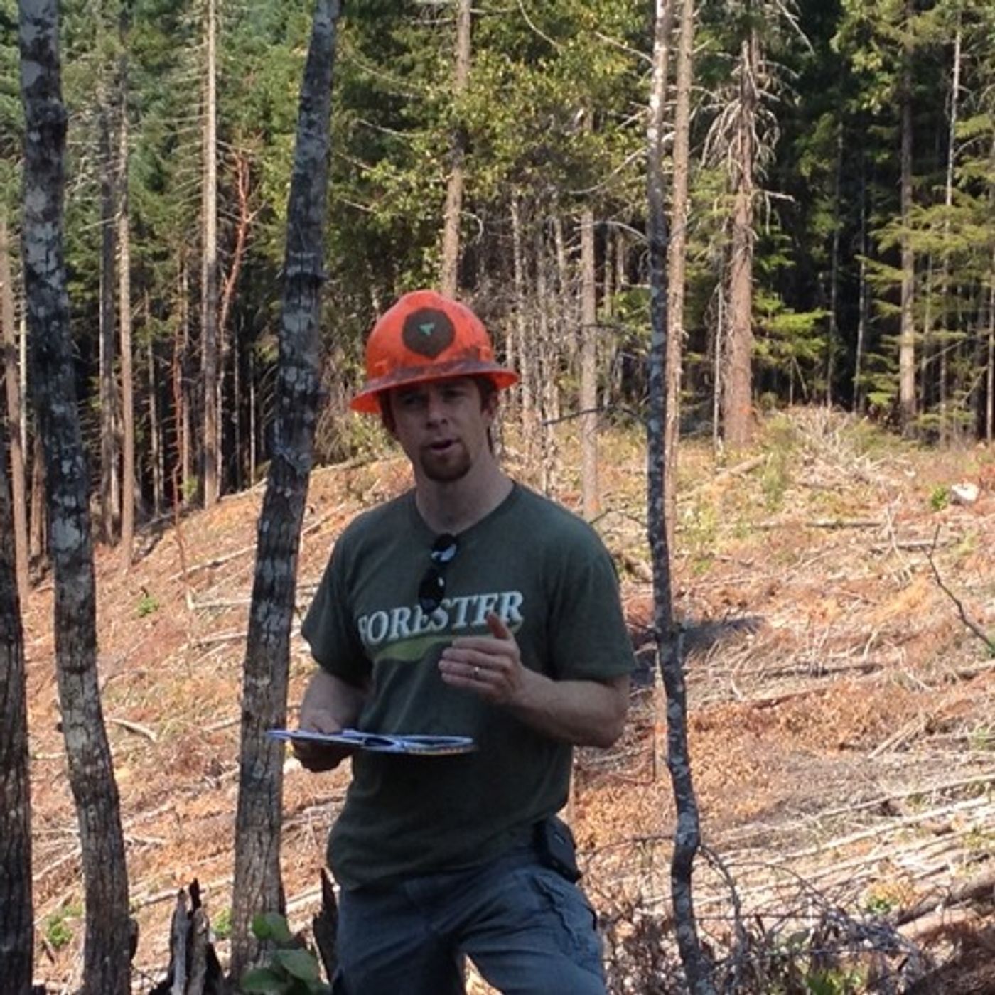 Should A Controversial Oregon Timber Harvest Become A Regional Model? episode artwork